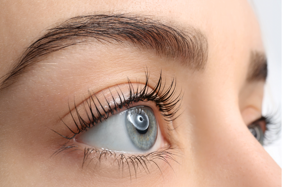 What is an Eyelash Bar? Why You Want to Find One This Fall!